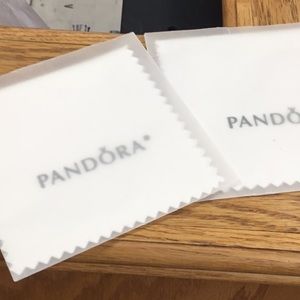Authentic Pandora cleaning clothes New